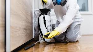 Trusted New Port Richey, FL Pest Control Experts